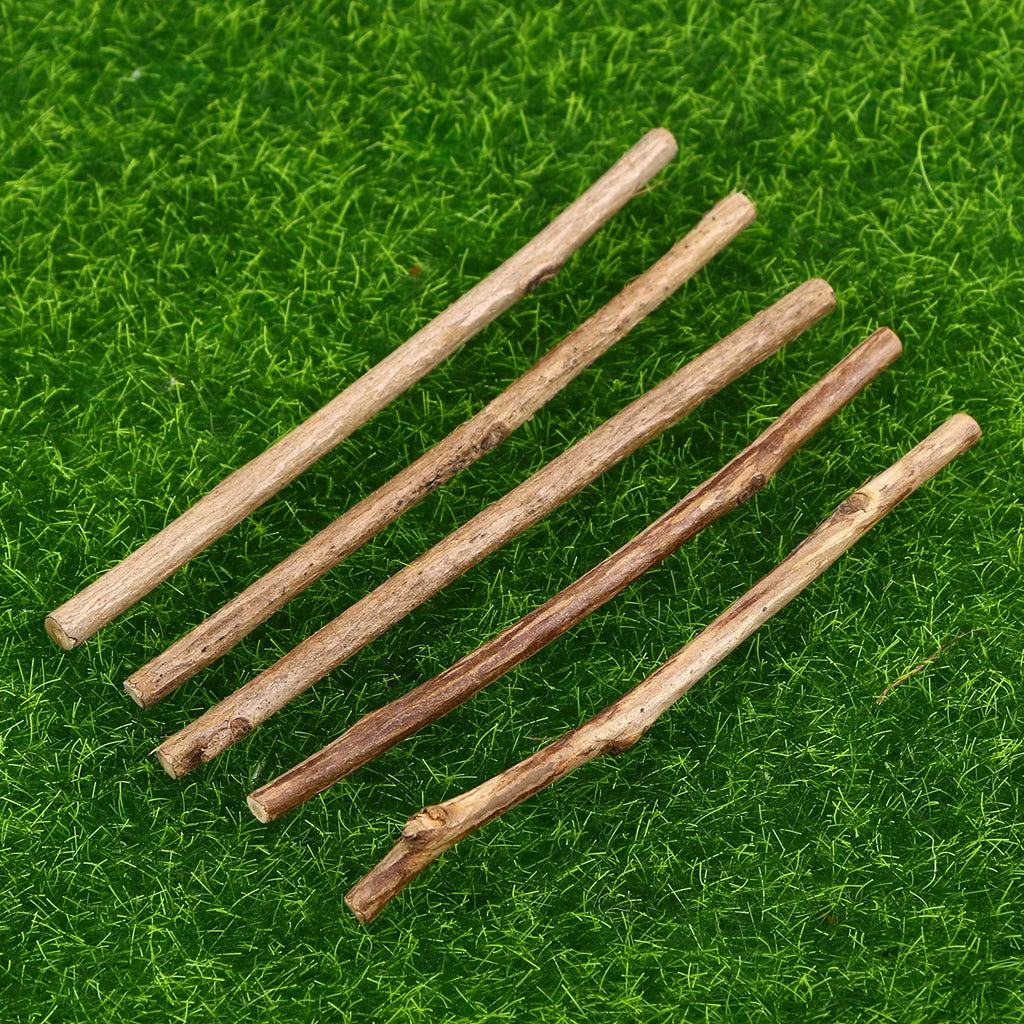 Sticks Wood Crafts Log Twigs Craft Diy Crafting Wooden Tree Birch Driftwood Tea Boxwood Supplies Photo Props Stick Pieces Logs