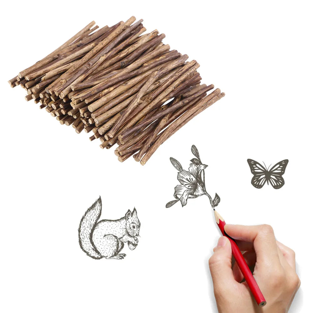 Sticks Wood Crafts Log Twigs Craft Diy Crafting Wooden Tree Birch Driftwood Tea Boxwood Supplies Photo Props Stick Pieces Logs
