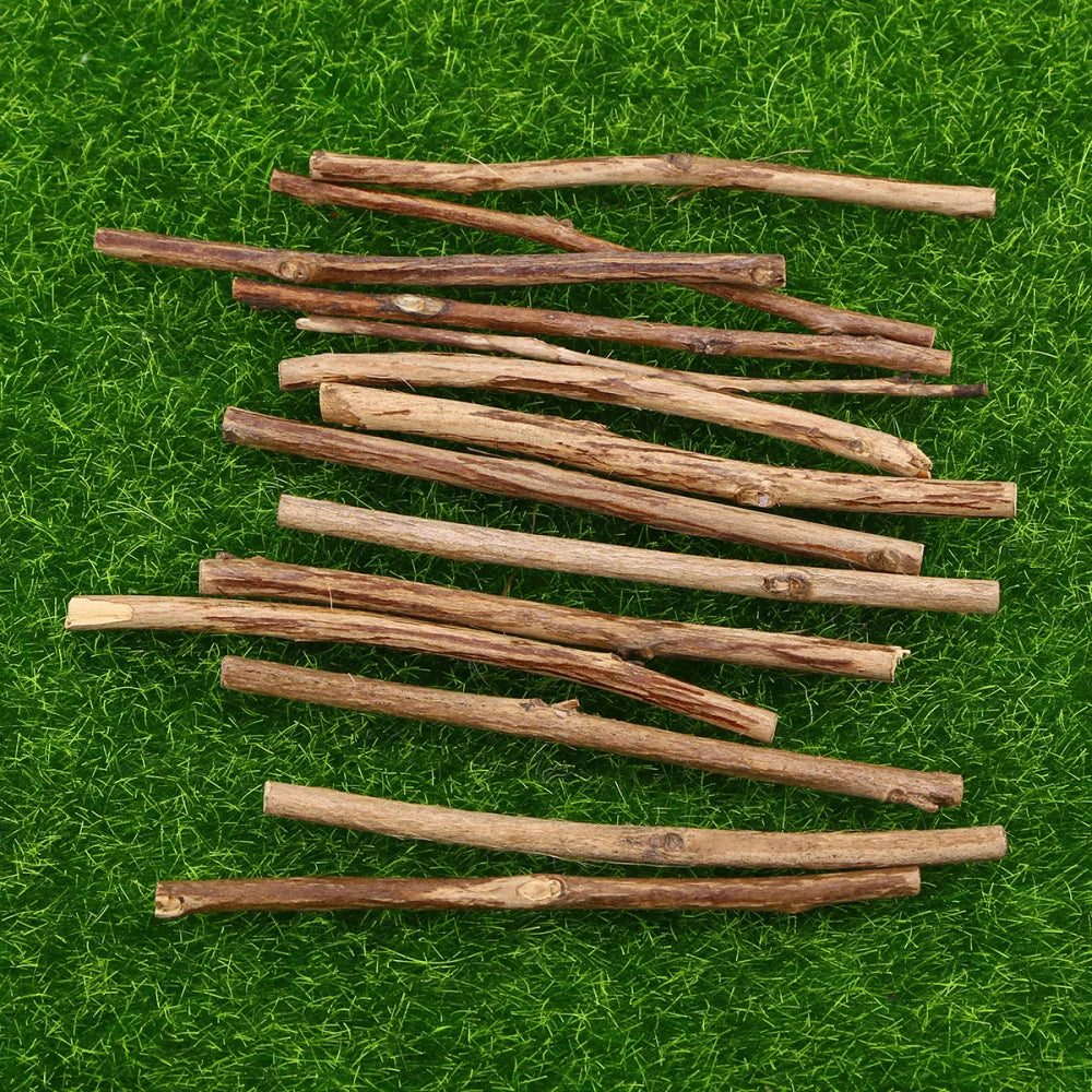 Sticks Wood Crafts Log Twigs Craft Diy Crafting Wooden Tree Birch Driftwood Tea Boxwood Supplies Photo Props Stick Pieces Logs